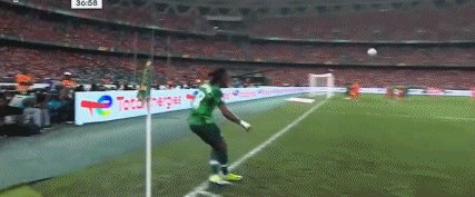 1707699060948047760.gif 41.gif